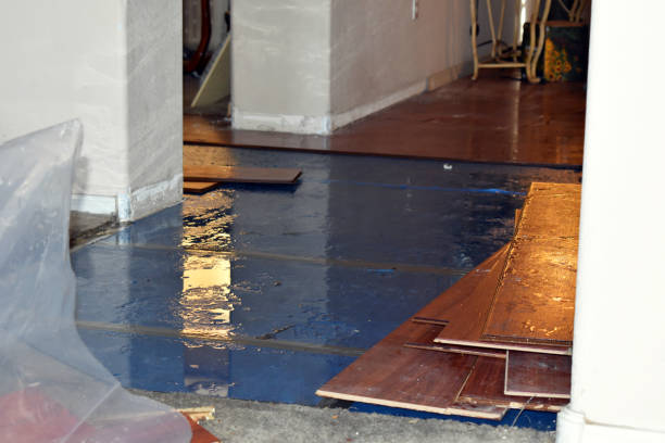 Professional Water Damage Restoration technician working in Wallington, NJ